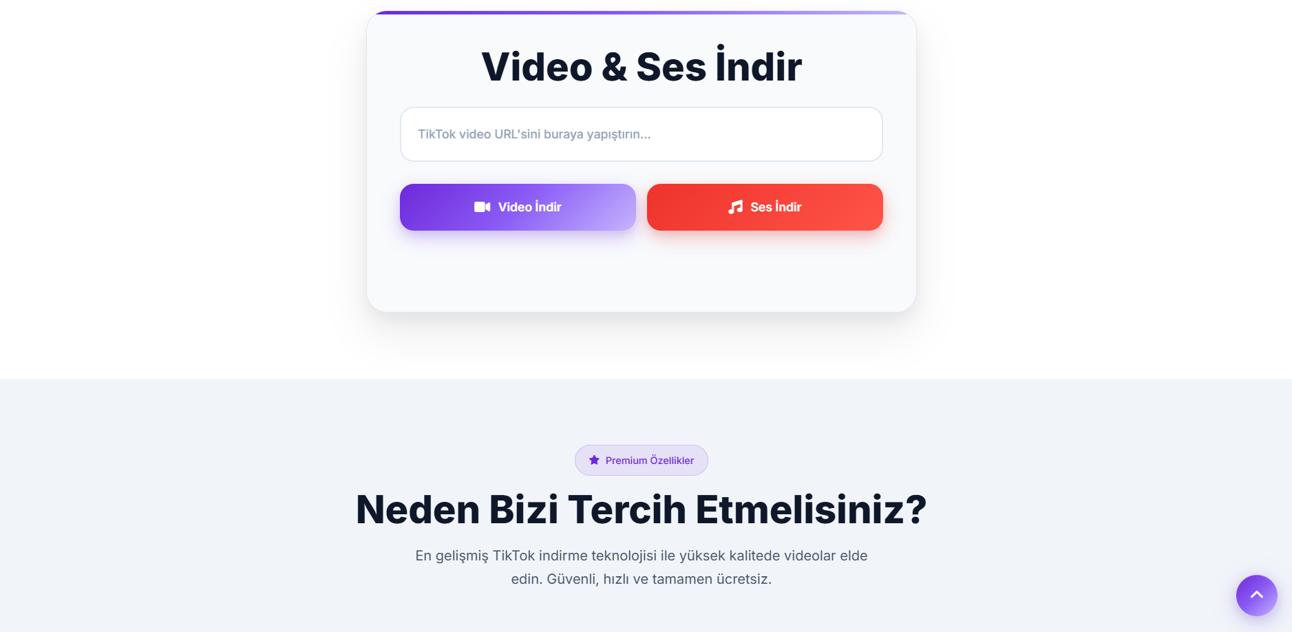 TikTok Video Downloader Pro arayüzü